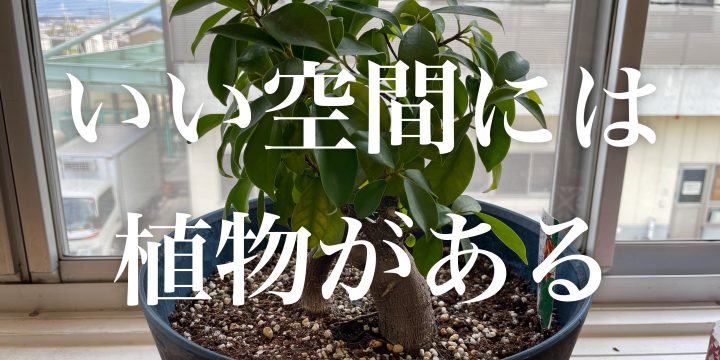 いい空間には植物がある